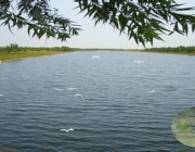 商河天气预报30天