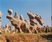 费县天气预报30天