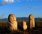 昭苏天气预报30天