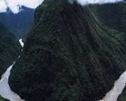 米林天气预报30天