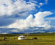 清水河天气预报15天