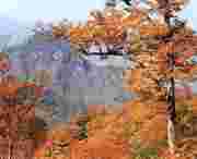 武山天气预报30天