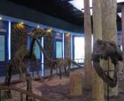 郧县天气预报15天