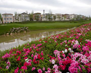 双流天气预报15天