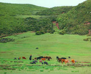 昭觉天气预报30天